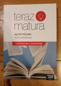 Język polski, poziom podstawowy - vademecum z zadaniami