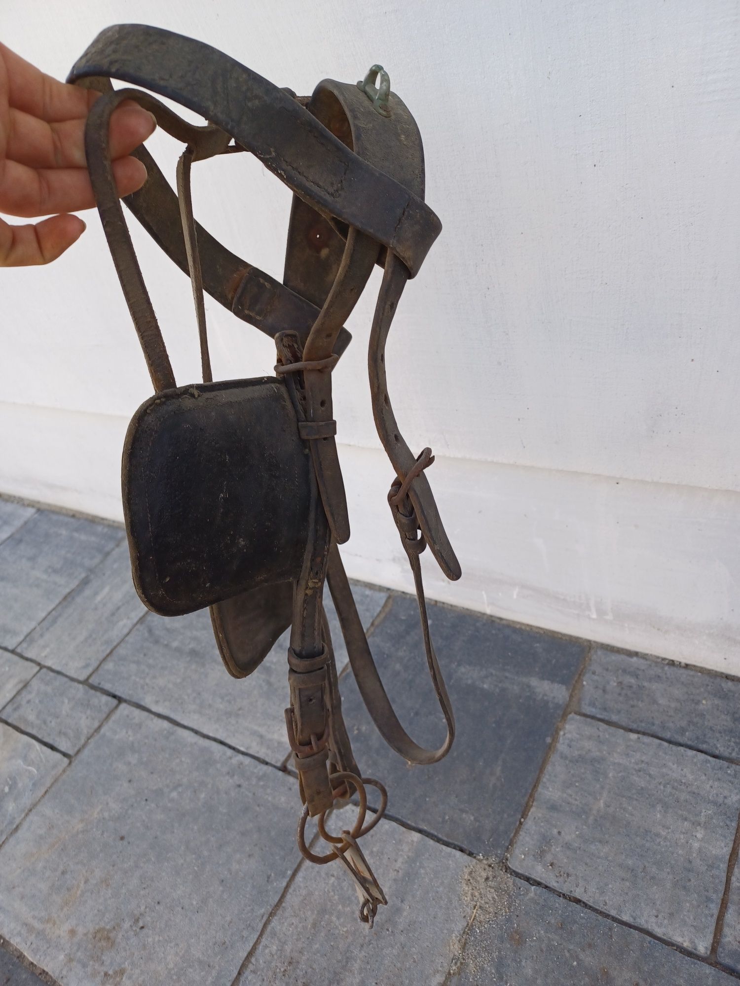 Kantara dla konia