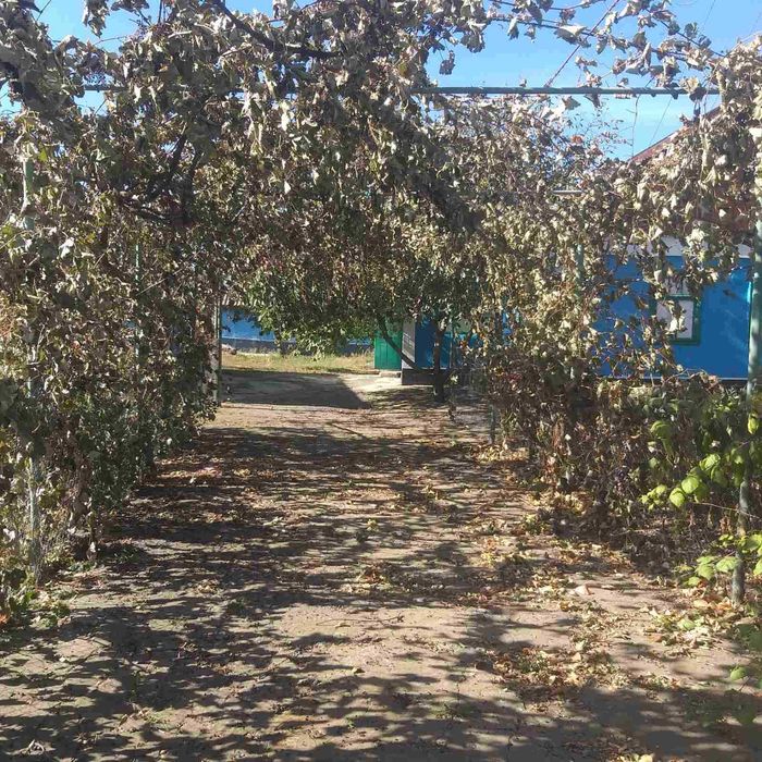 Продам будинок в селі Савчинське