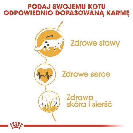 Zdrowa karma dla kotów dorosłych rasy maine coon - Royal Canin 4kg