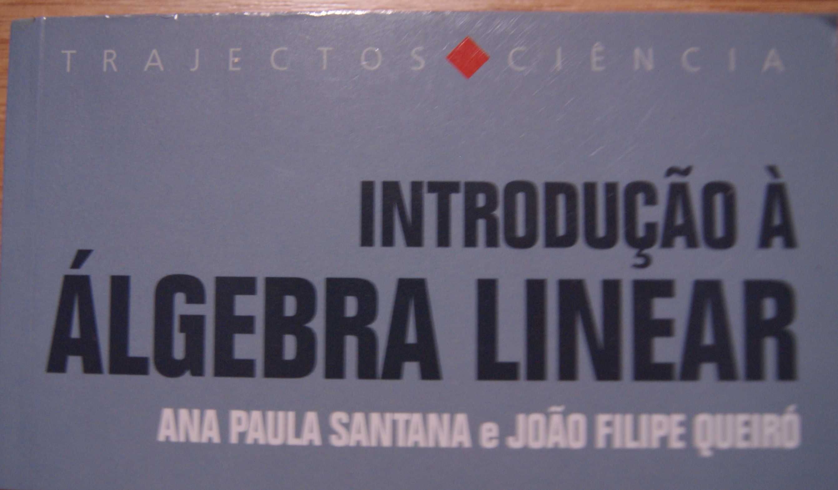 Introdução à Álgebra Linear