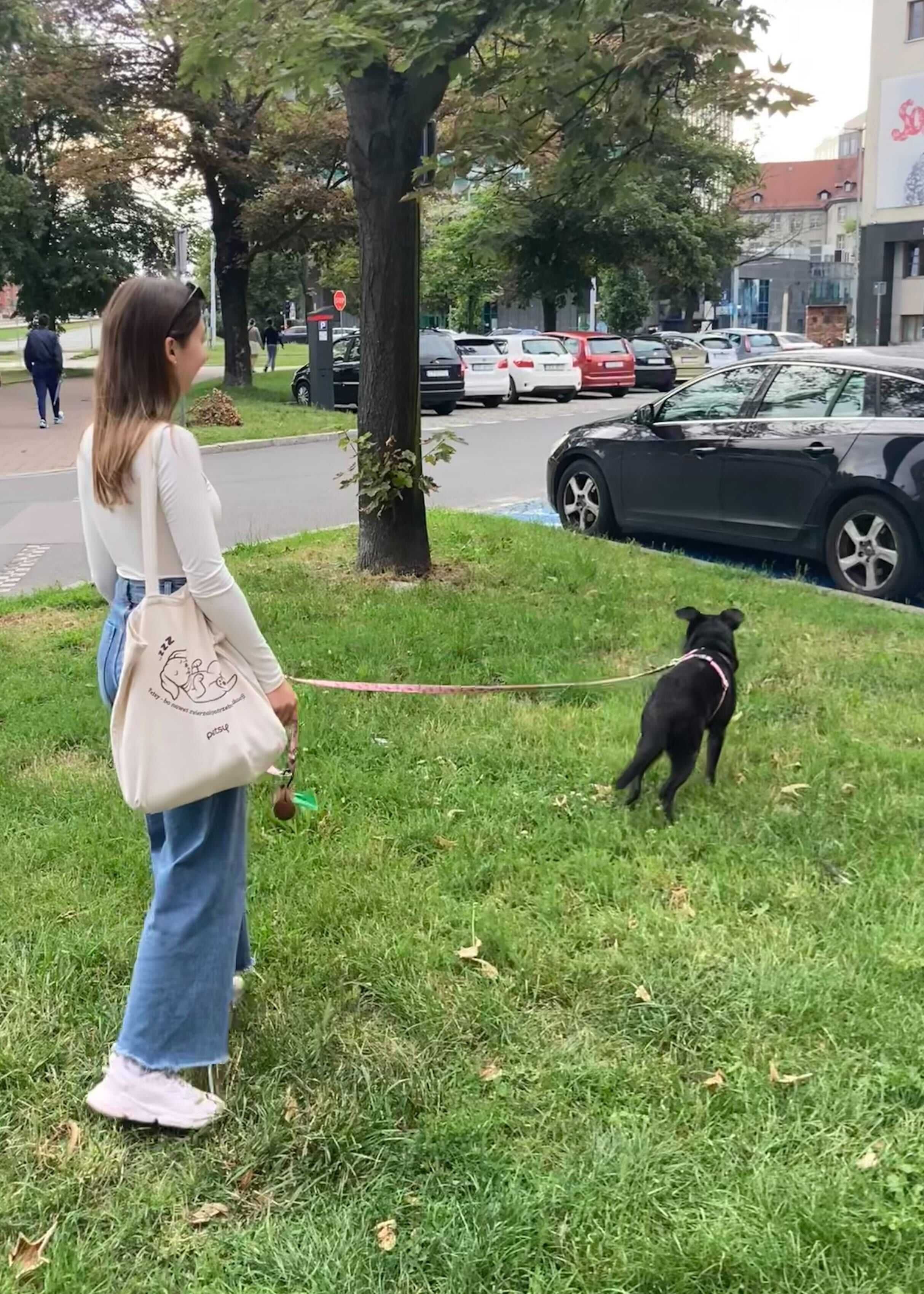 Magda, petsitter Petsy.pl - opieka od 35 zł, rabat 10% z kodem KATP10