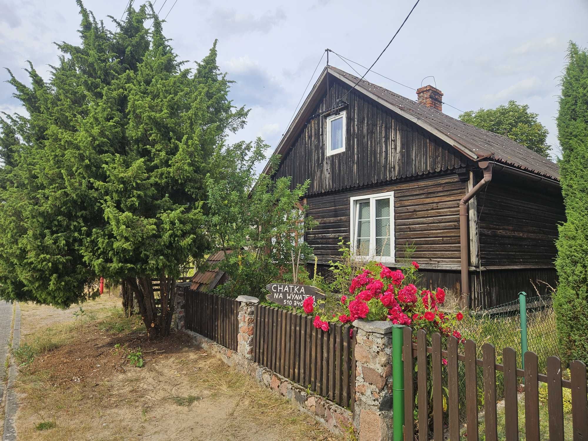 domek na wynajem nad jeziorem - Kociewie