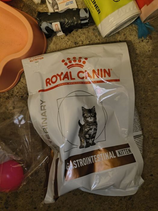 Wyposażenie wyprawka akcesoria dla kociaka