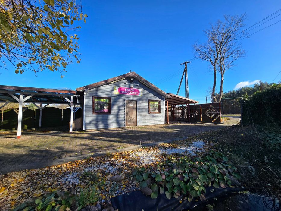 Sklep + magazyn + plac -> centrum ogrodnicze - przy DK60