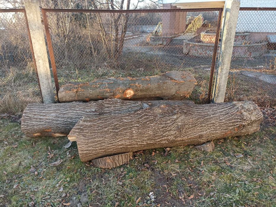 Продаю кругляк липи