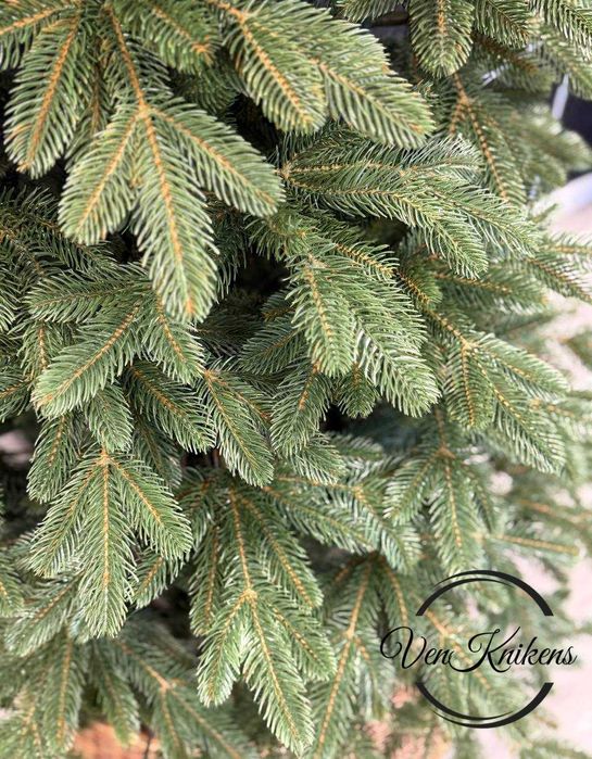 Ялинка штучна лита БЕЛЬГІЙСЬКА, Елка искусственная 2,20 м.