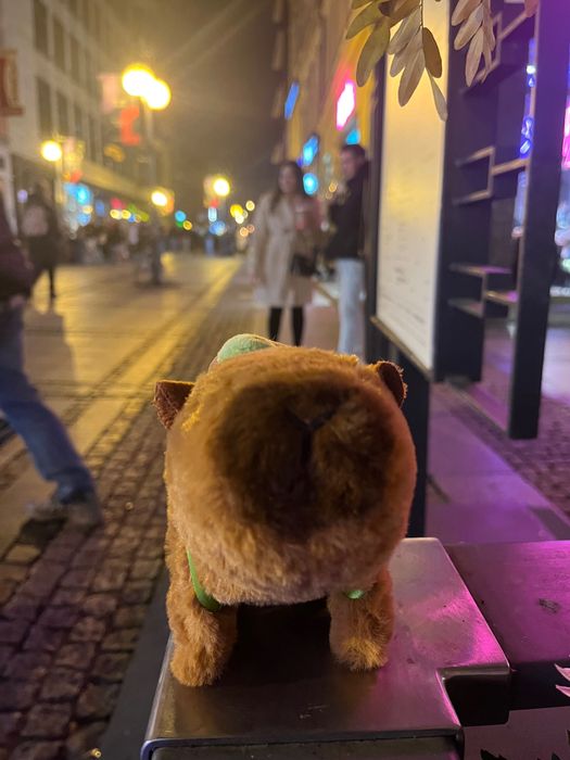 Chodzikowe Przytulaki