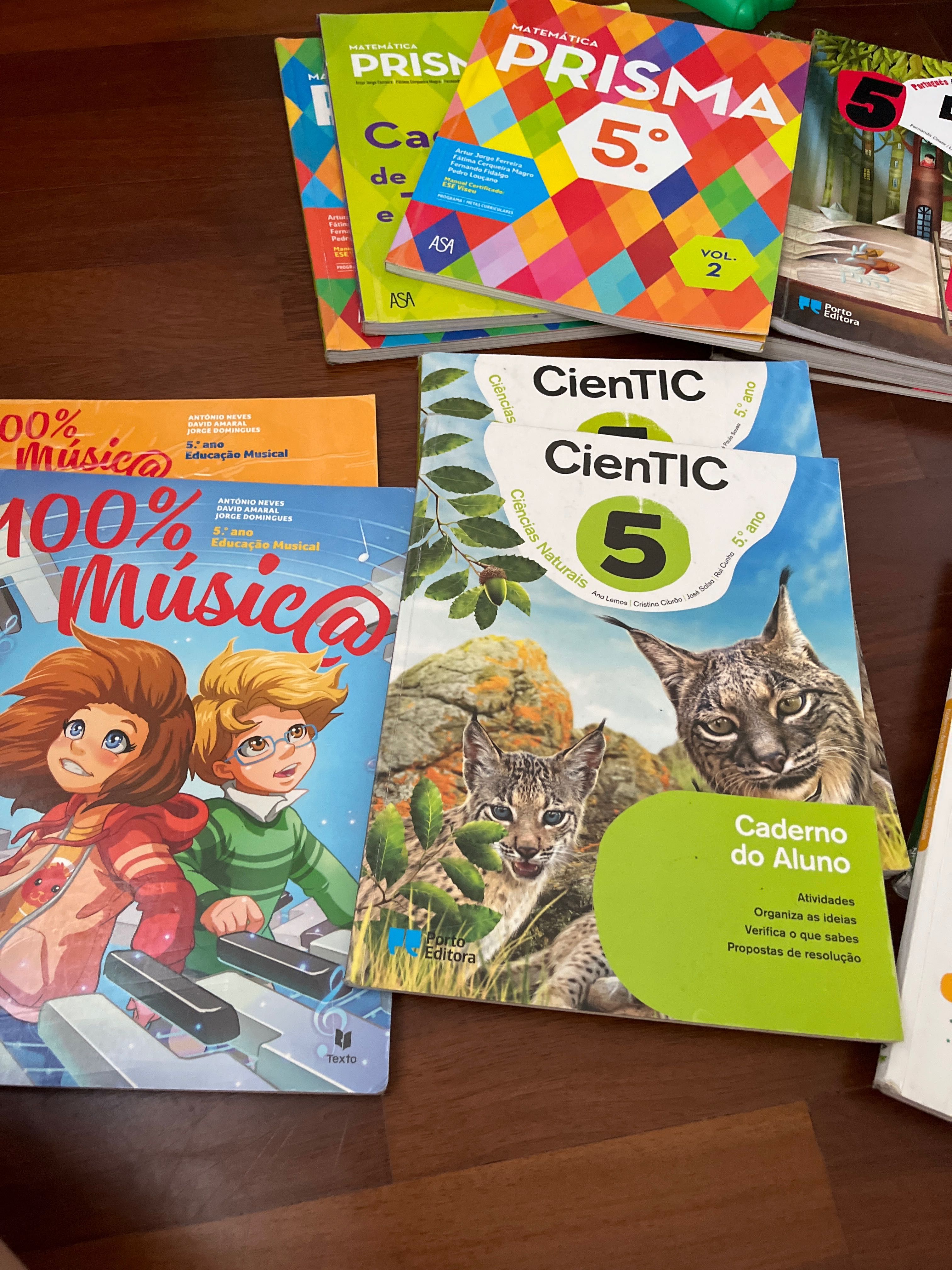 Livros escolares 5o ano