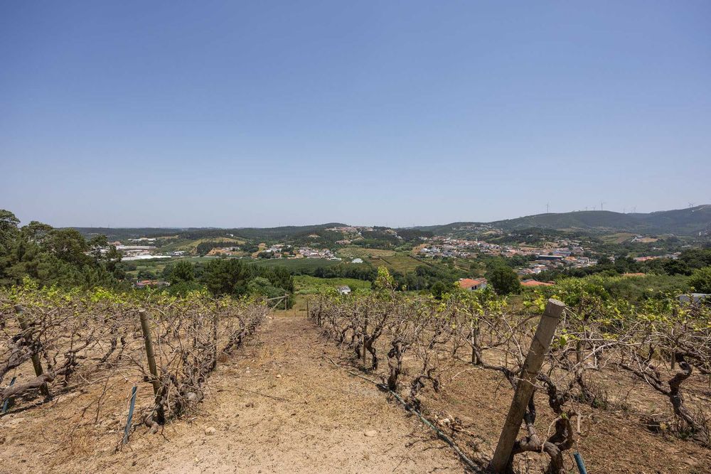 Exelente Moradia com uma vista fantastica