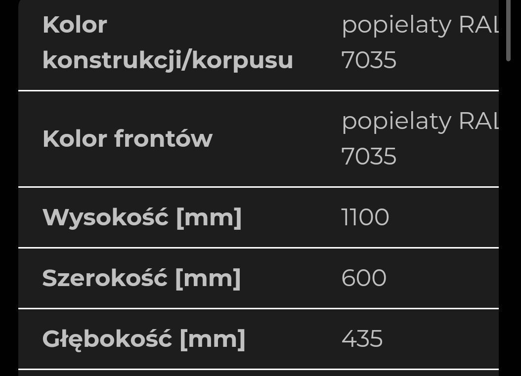 Szafa stalowa Promag