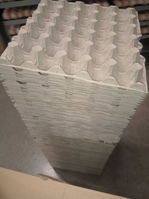 Лоток ,для яйця.