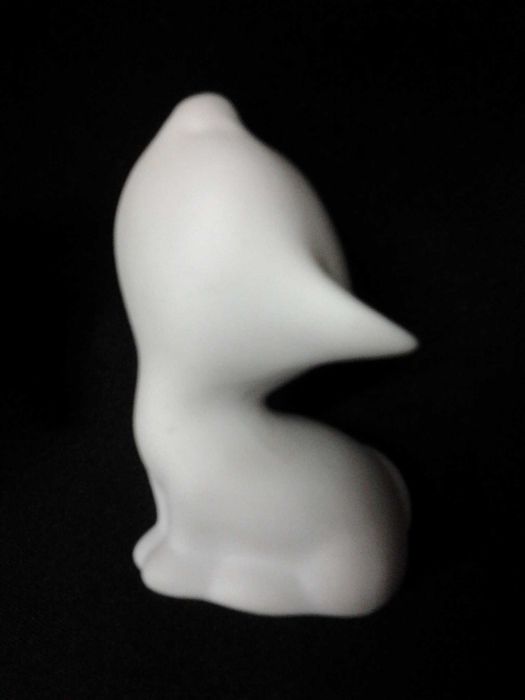 Artibus - Gato em excelente estado