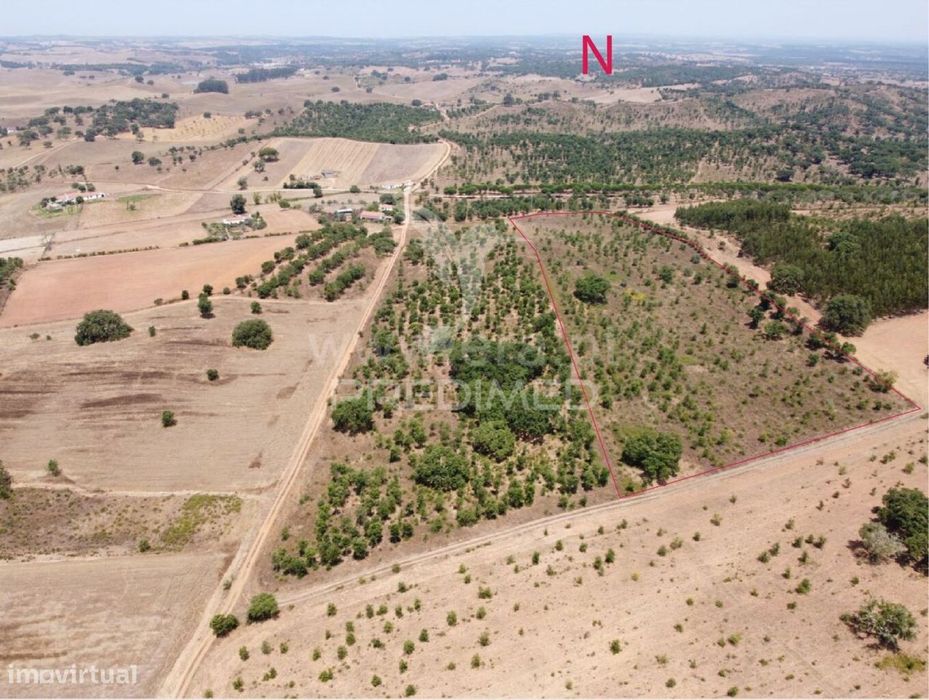 Terreno com 31 000 m2,Cercal,Santiago do Cacém.