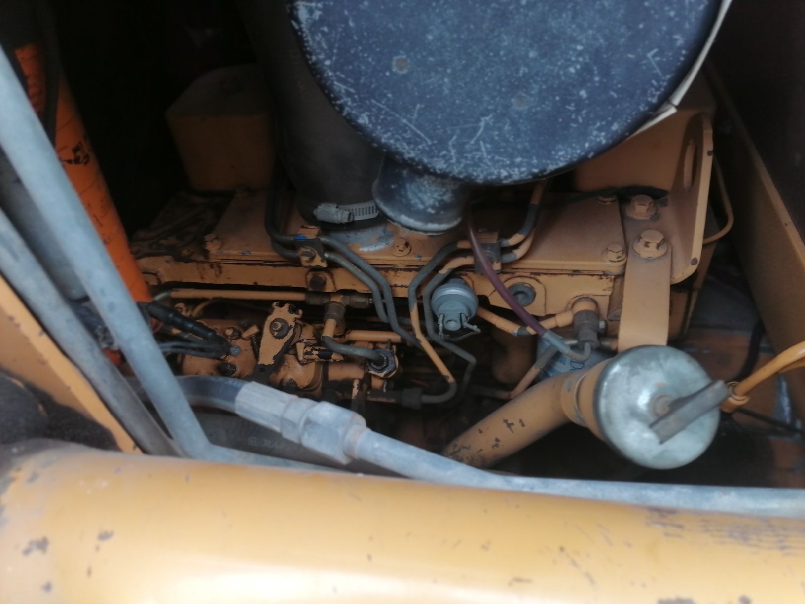 Bobcat, case 1840
