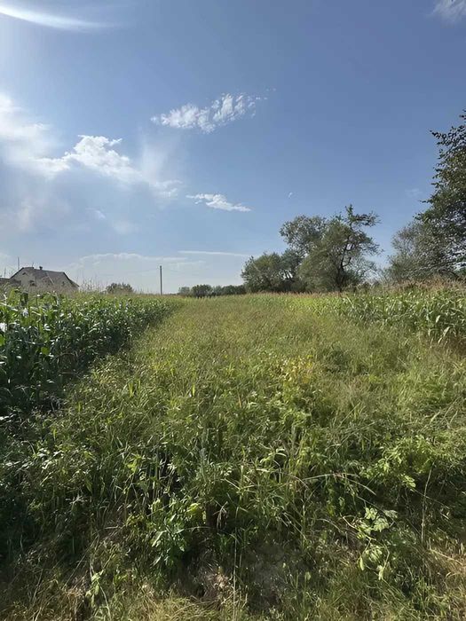 Ділянка 37 сот в с. Пійло