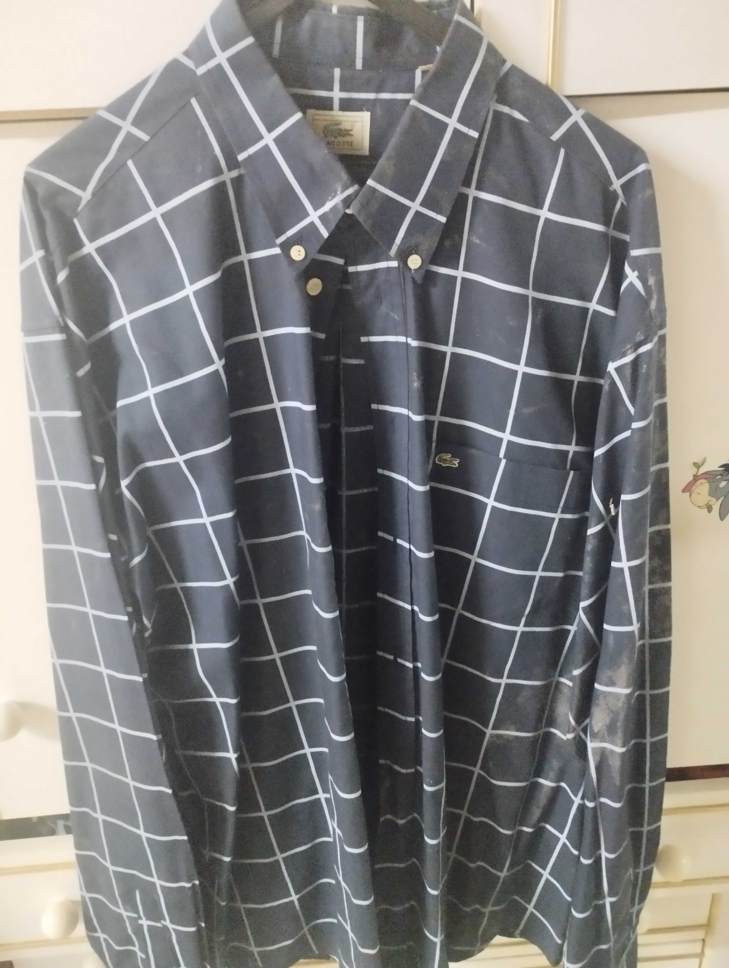 Camisa lacoste azul
