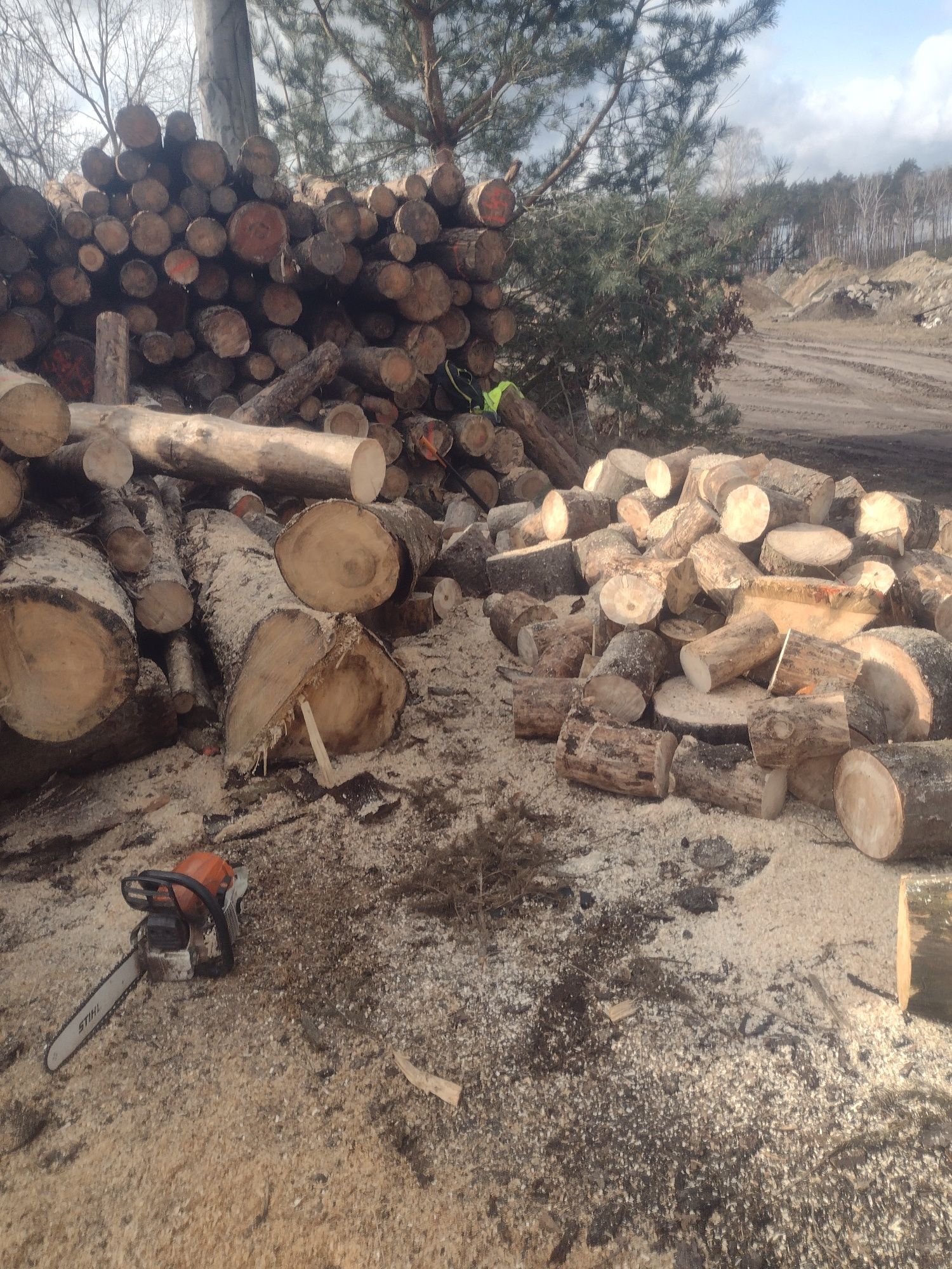 Cięcie i rabanie drewna możliwość pomocy w lesie