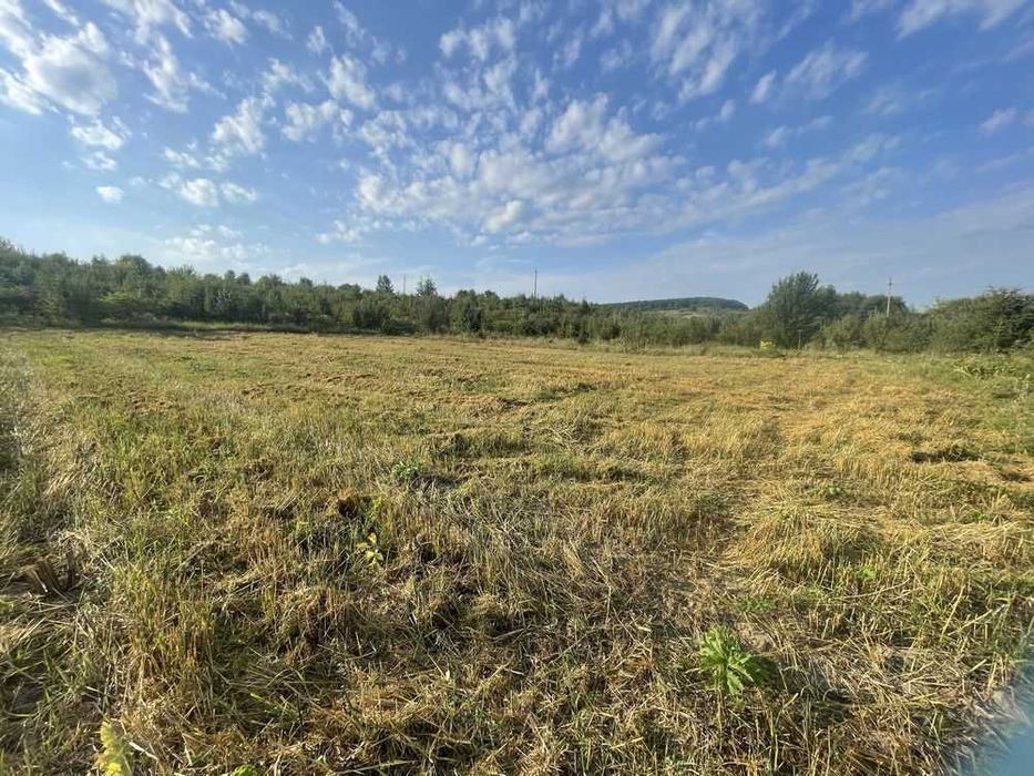 Земельна ділянка 15 сот Ст. Лисець, вул. Шевченка, під забудову (4)