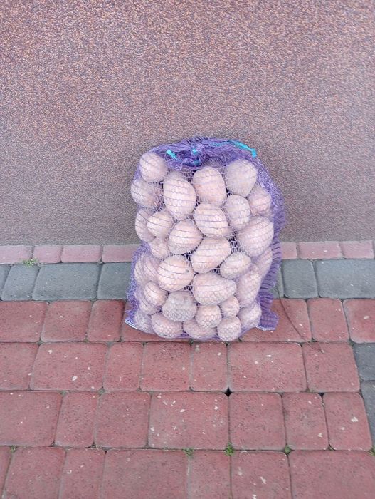 Ziemniaki   jadalne Bella rosa oraz Red sonie