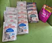 Mokra karma Royal Canin 13sztx85g