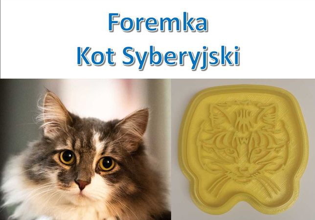 Foremka 3D w kształcie Kot syberyjski (Siberian cat)