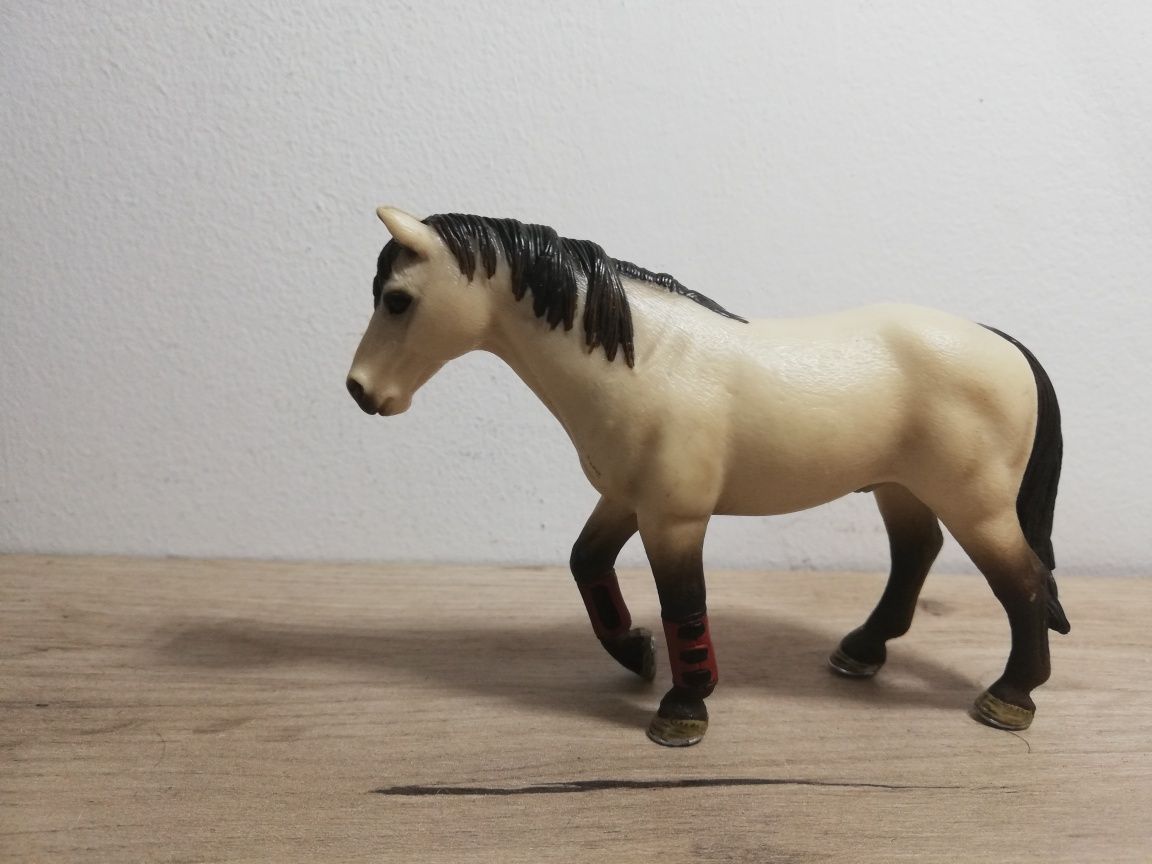 Schleich Koń Treningowy 13706