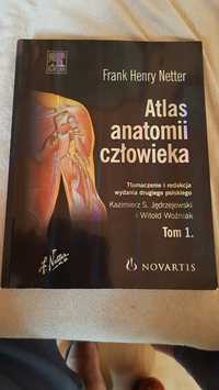 Atlas anatomii człowieka Frank Henry Netter