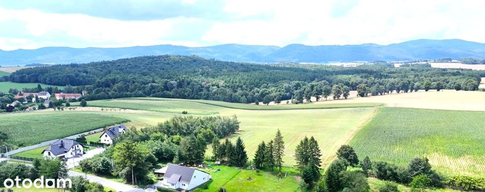 Działka budowlana w Owieśnie/1471 m2!