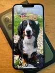 iPhone 13 pro 128gb
