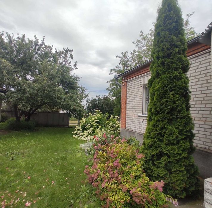Продаж Будинку (97м2 +25 сот) Вінницькі Стави, Гребінки, Біла Церква