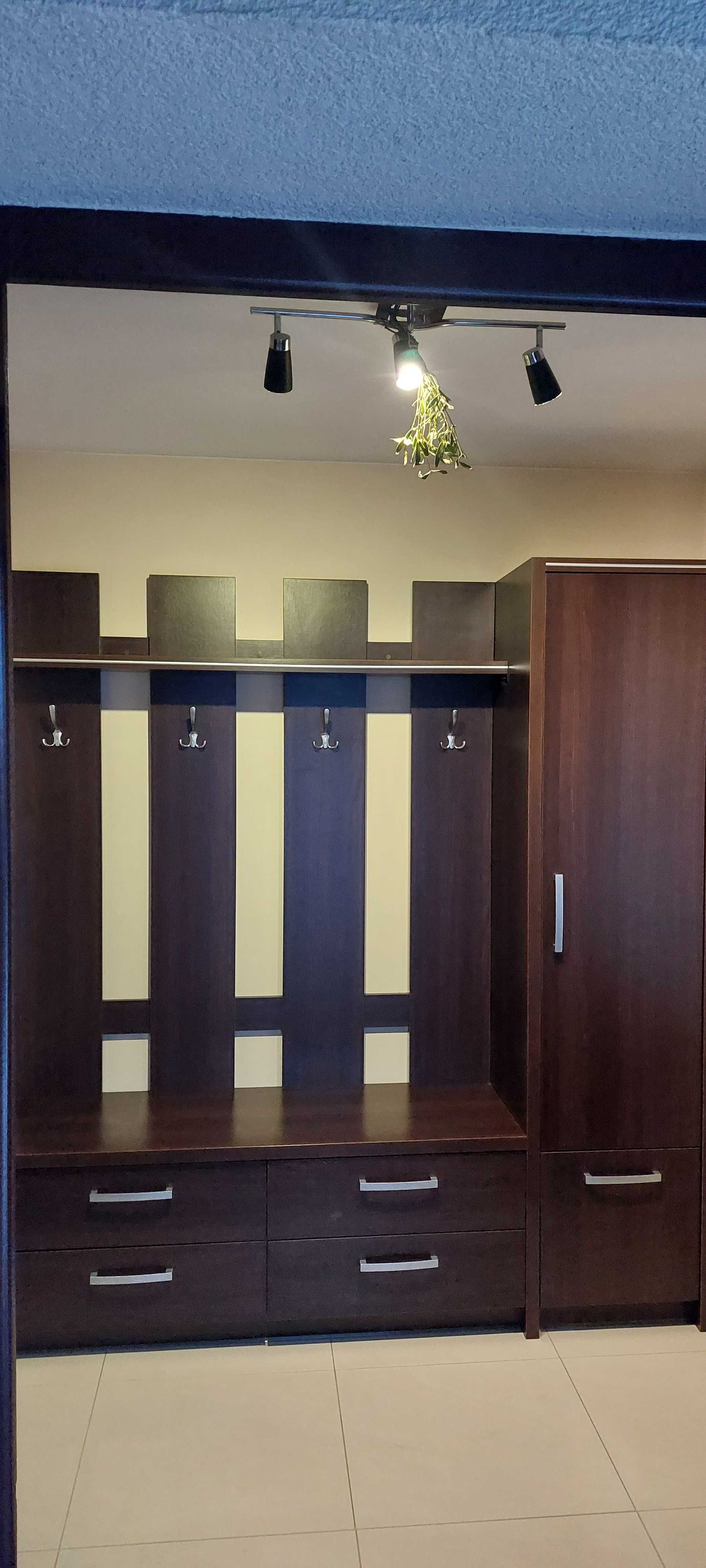Sprzedam garderobę plus lustro.