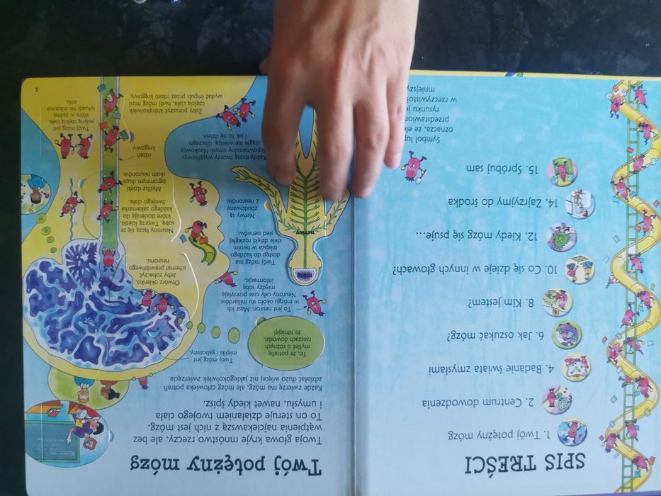 Książka sprawdźcie sami co się dzieje w mojej głowie ponad 80 okienek