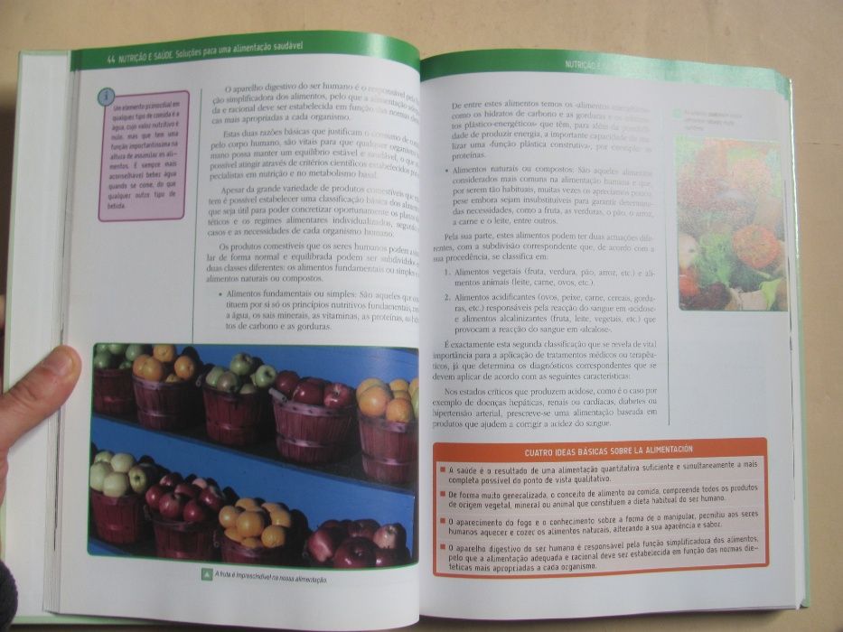 Nutrição e Saúde, Conselhos para uma alimentação saudável