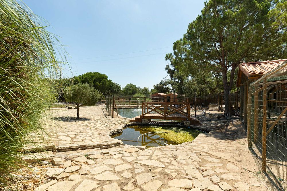 Herdade em Santo Estevão - Benavente