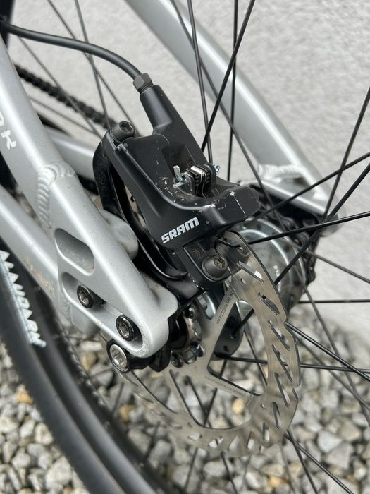 rose the bruce 2 alaudark  2024 rozmiar l srebrny