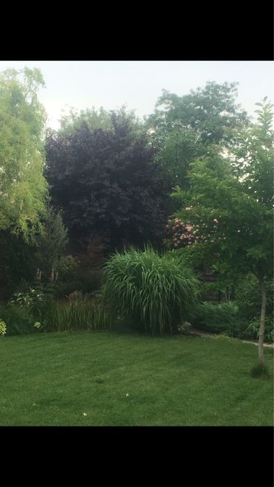 СРОЧНО!.Продам дом у моря Новая Дофиновка