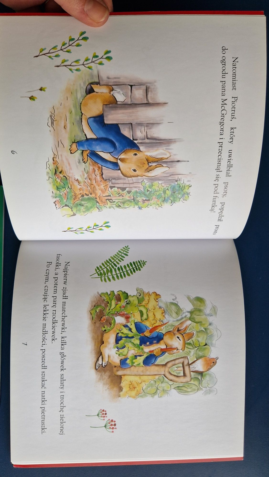 Króliczek Piotruś, Pan Jeremiasz Rybak