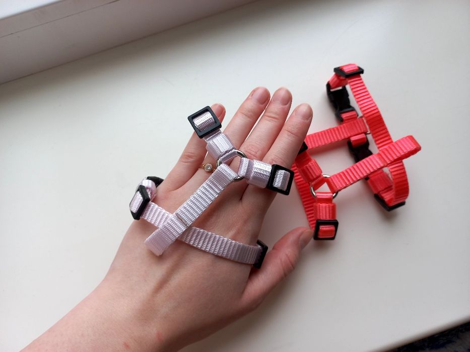 Шлея для собак XS - S