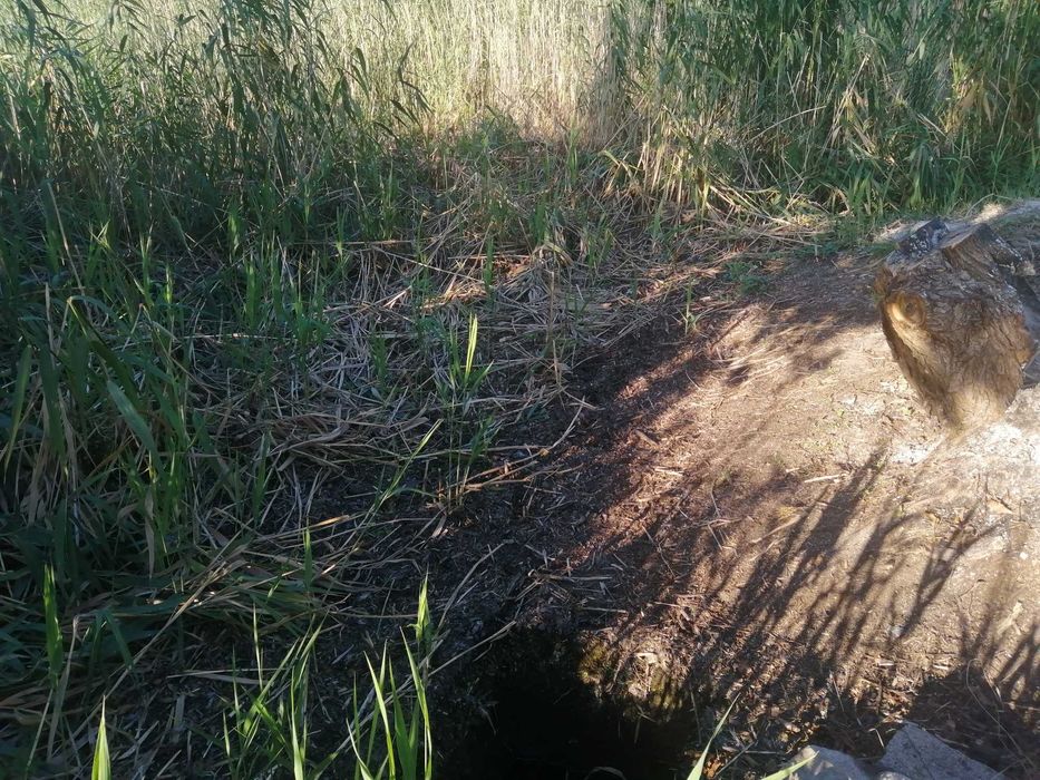 Torf humus próchnica ODDAM ZA DARMO