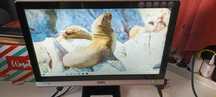 Monitor BenQ E900HDA