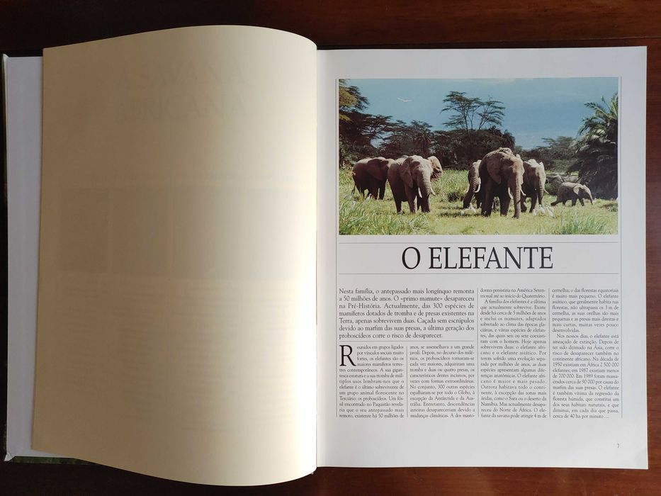 Vida Selvagem - Animais da Savana