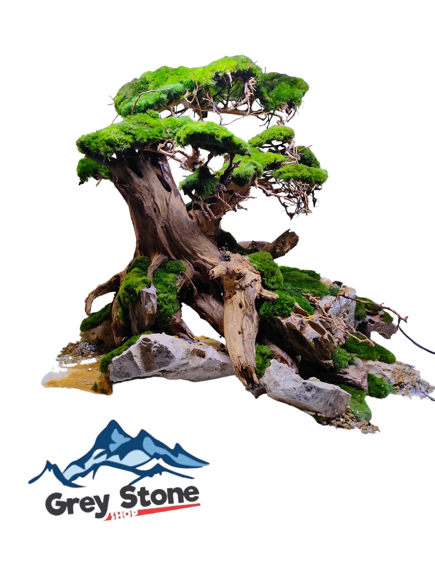 Drzewko bonsai do akwarium