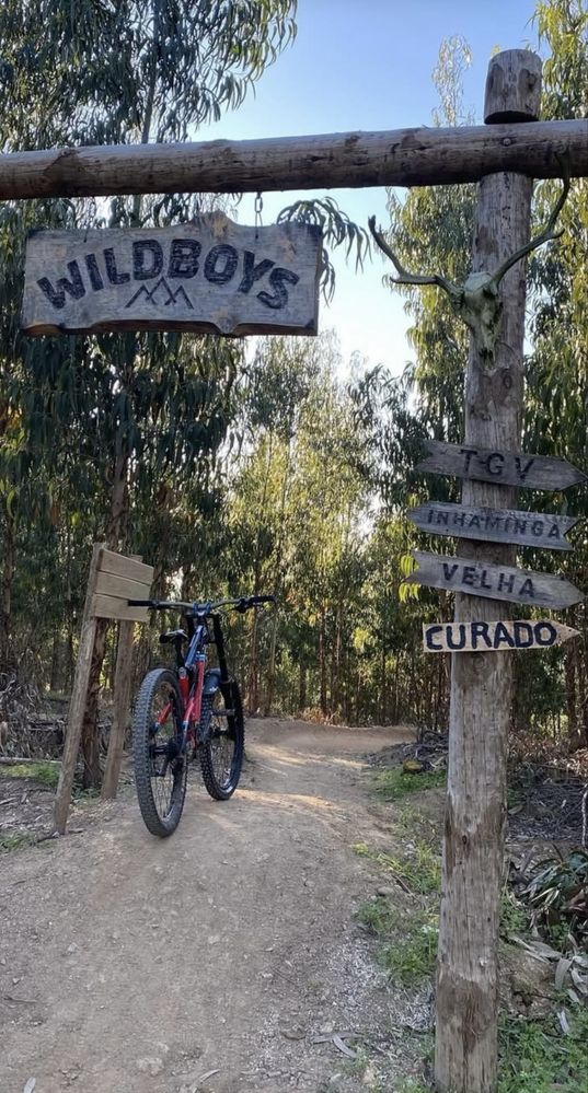 Bicicleta Downhill