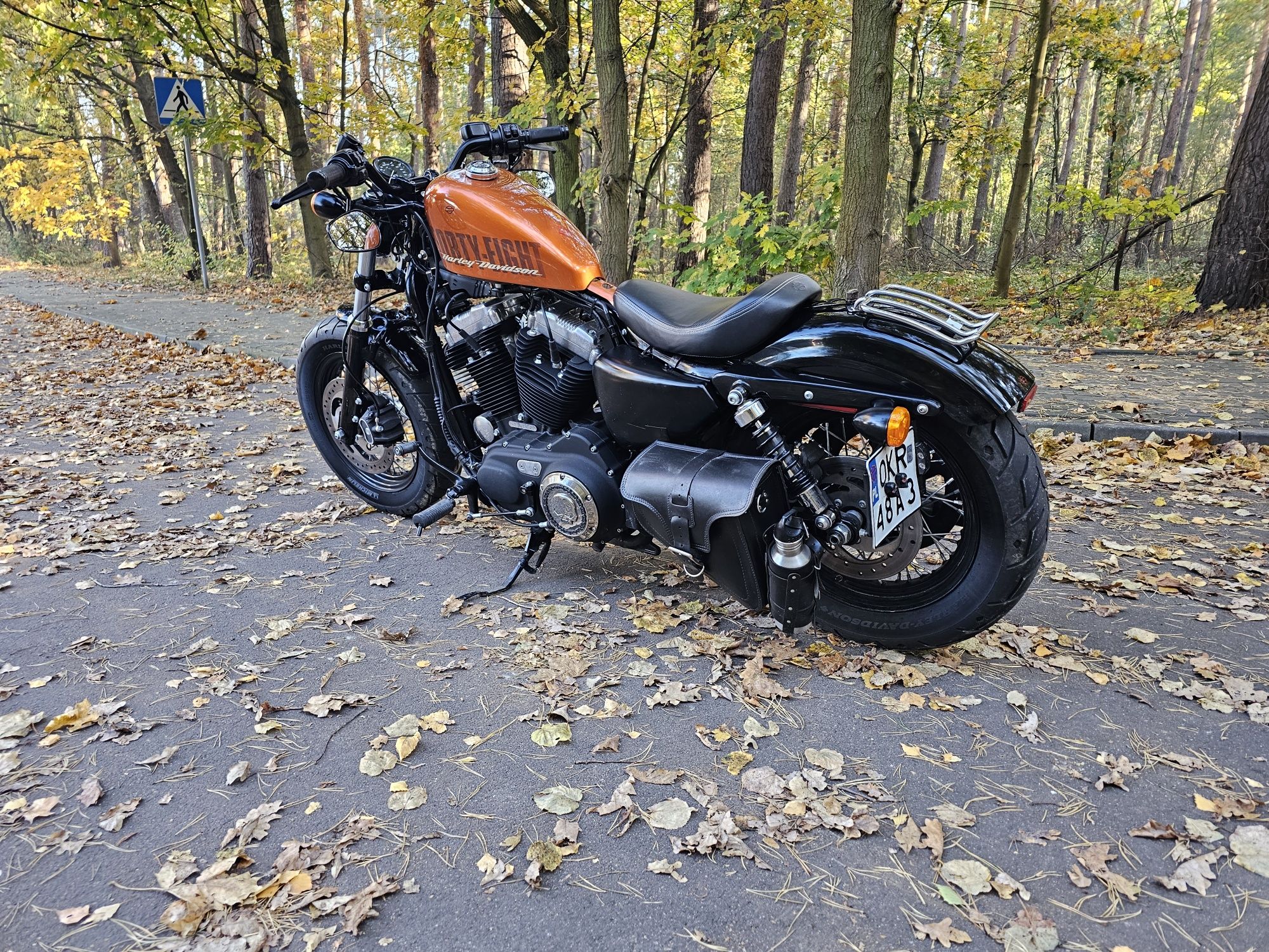 Harley Davidson Sporster Peanut 48