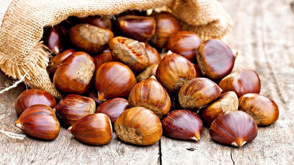 Castanhas D' Aldeia