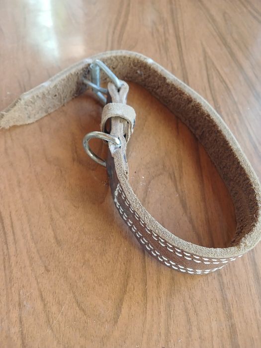 Ошейник шкіряний для собак