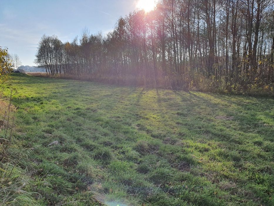 Duża działka nad jeziorem z linią brzegową