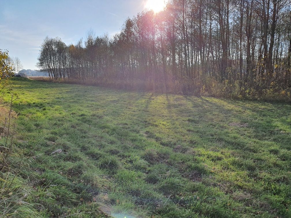 Działka nad jeziorem z linią brzegową