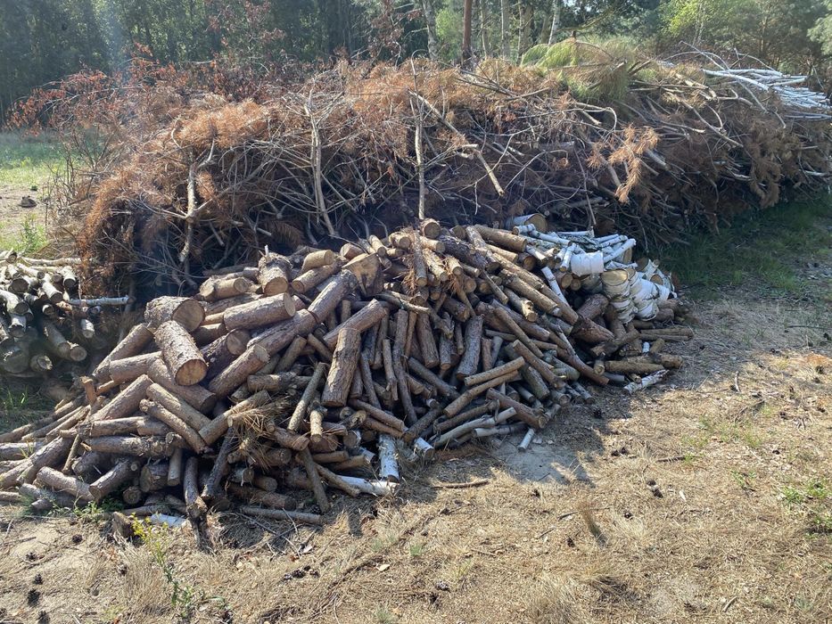 Drzewo opałowe mieszane